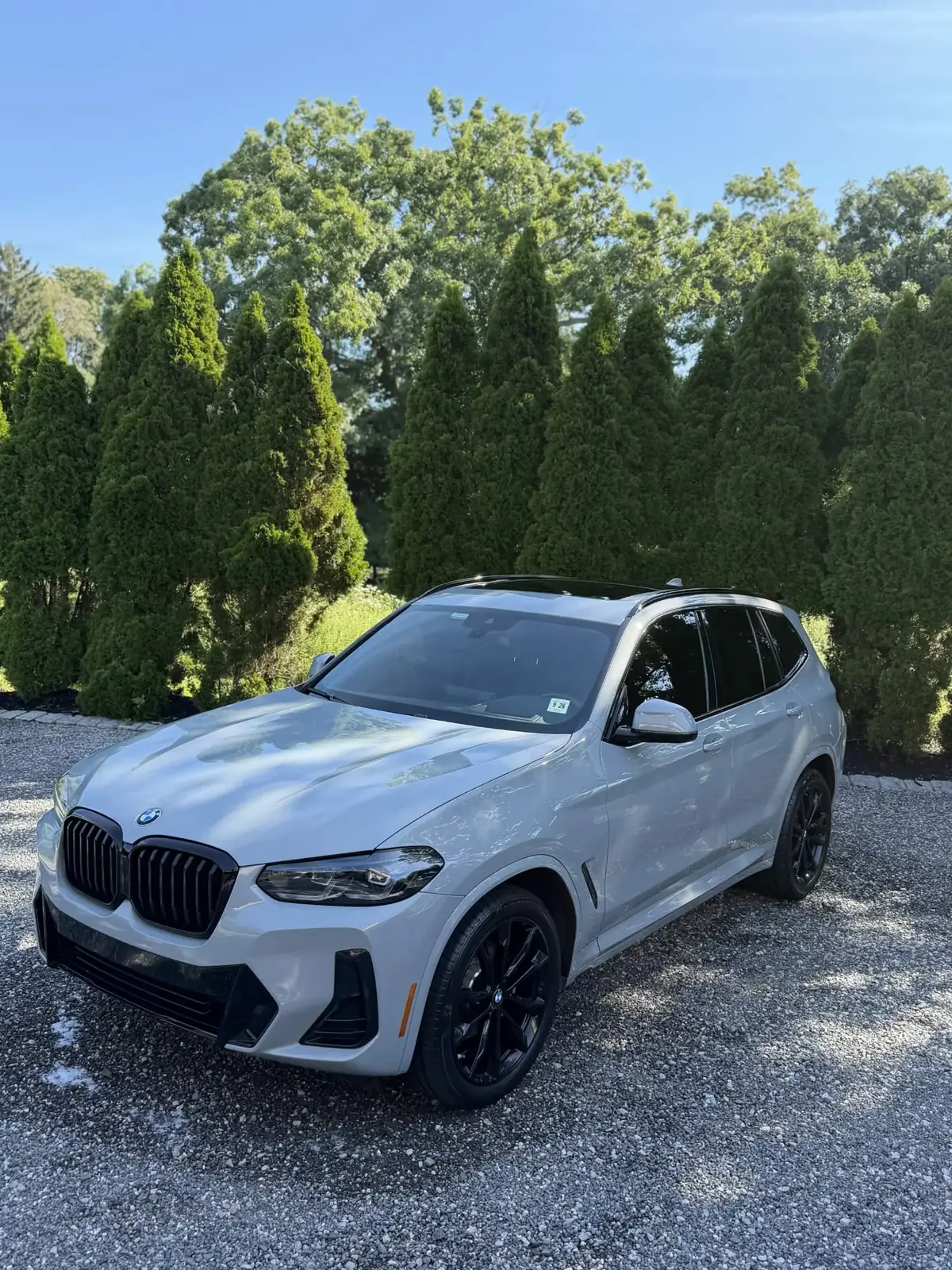Grey BMW X3 in front of evergreens