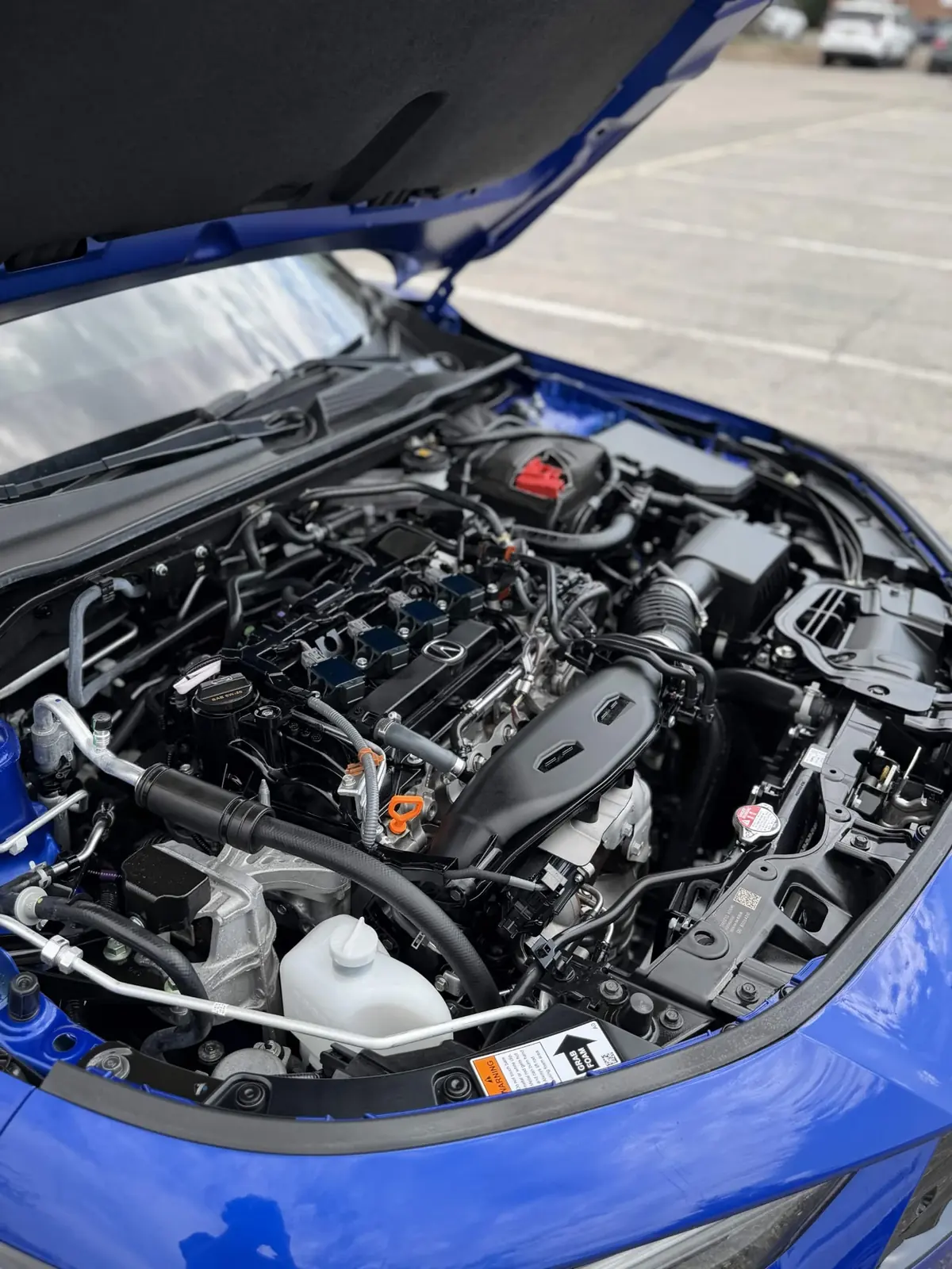 Spotless engine bay on a blue Acura